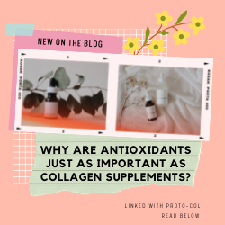 Importance of Antioxidants for Collagen