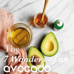 THE 7 WONDERS OF AN AVOCADO