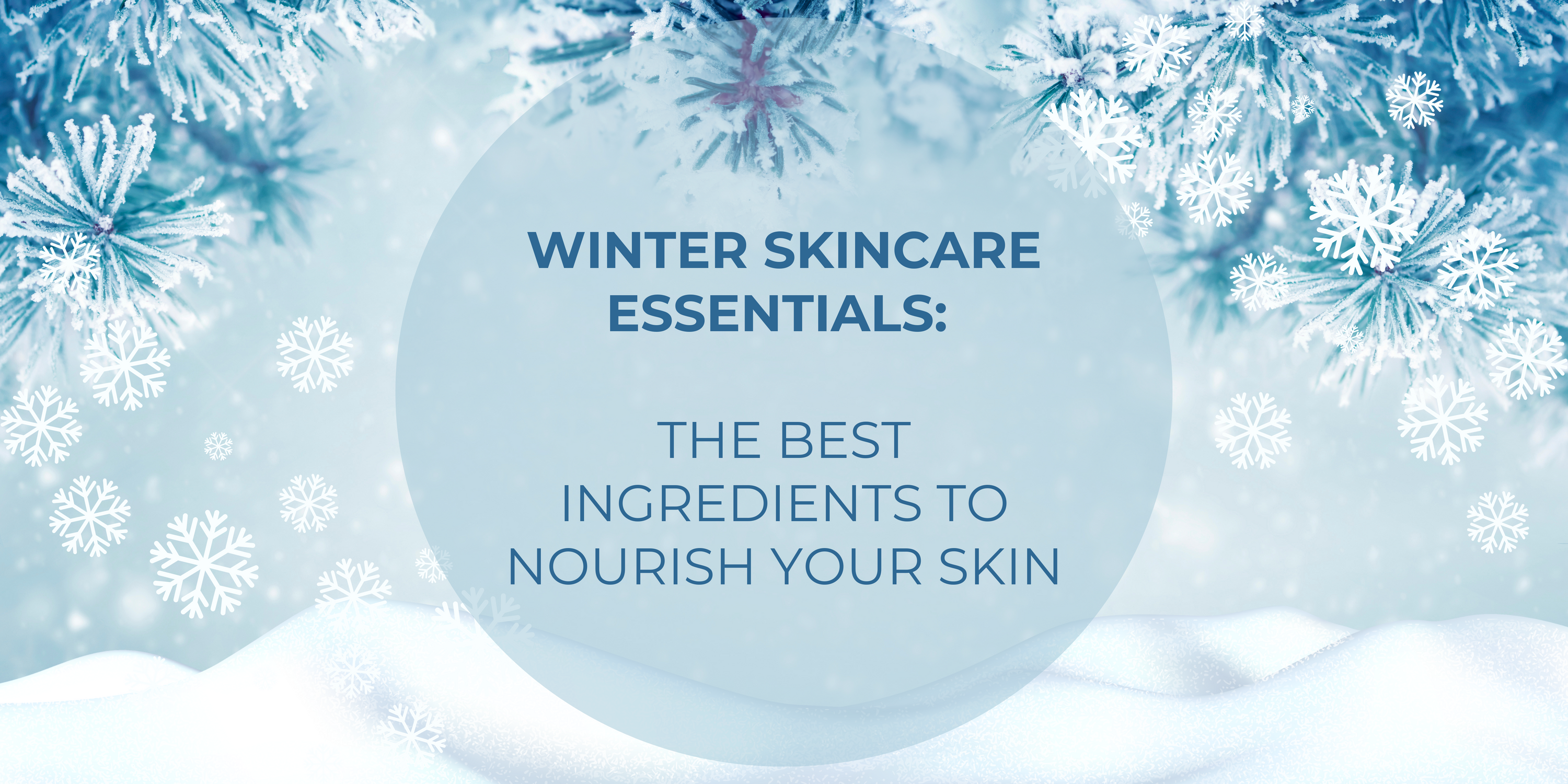 Winter Skincare Essentials: The Best Ingredients to Nourish Your Skin